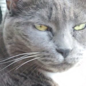 Meet your Posher, Maureen